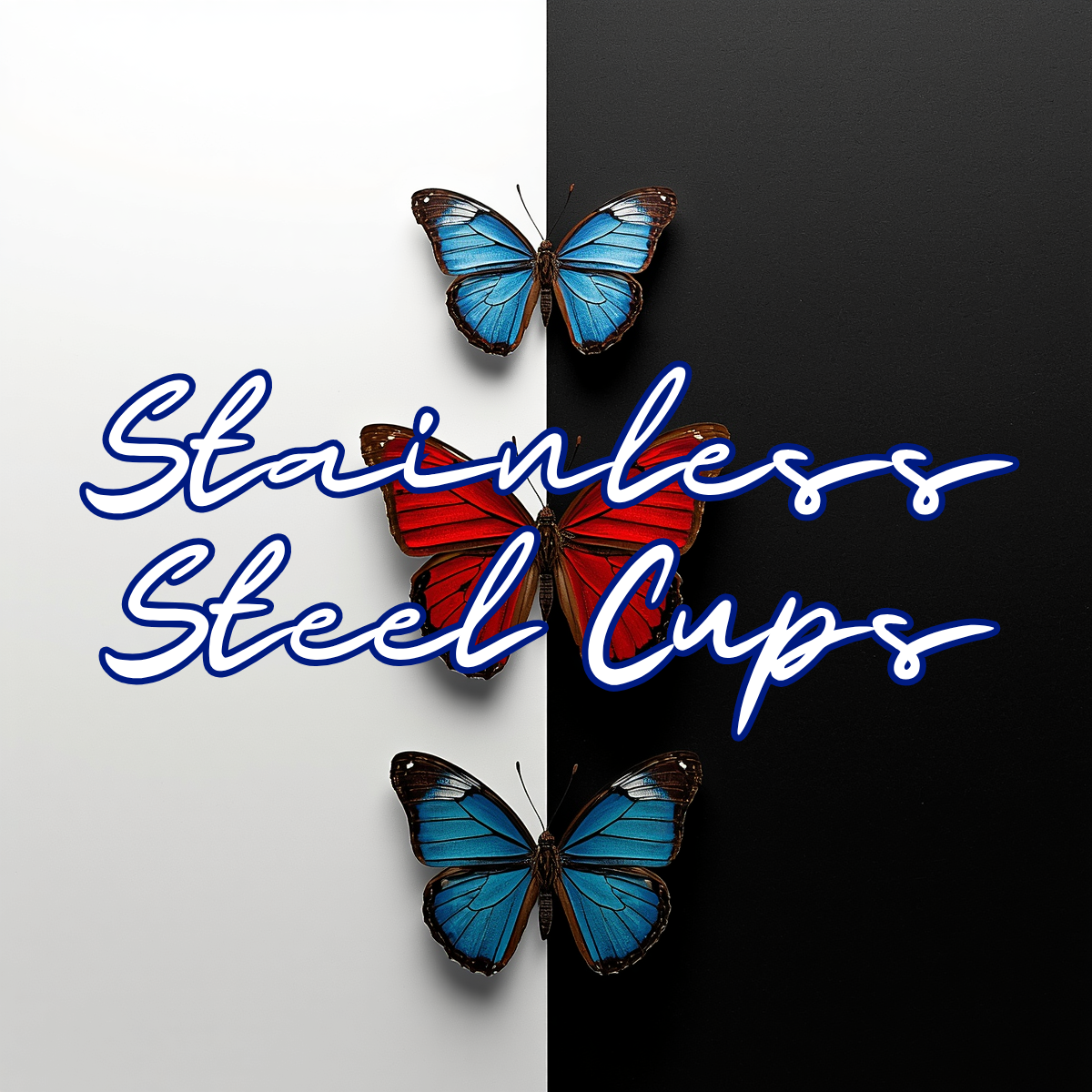 16 oz Stainless Steel Cups