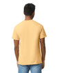 Adult Small Yellow Haze